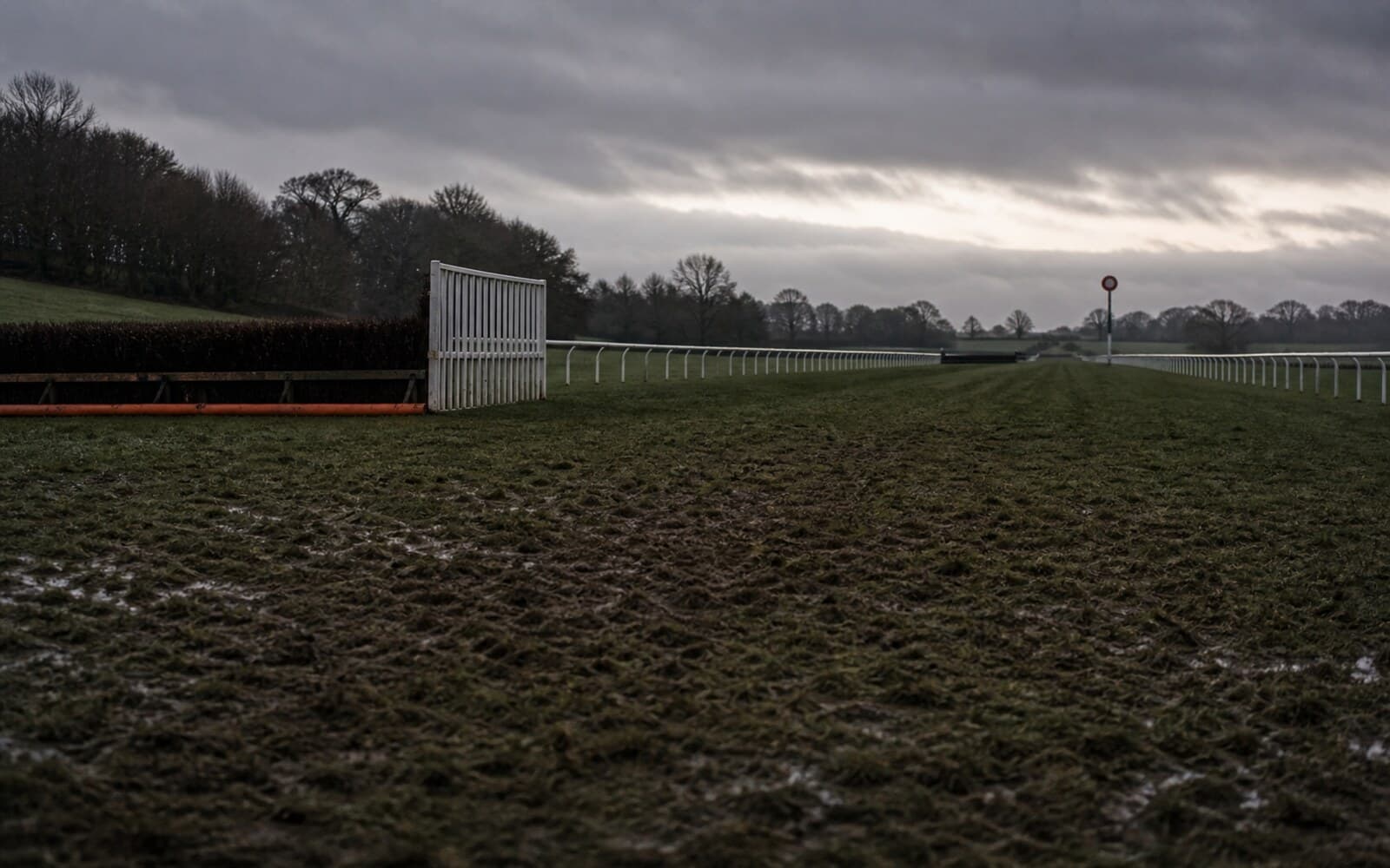 Clear Frontrunner Inexplicably Halts Within Sight Of Finish Line